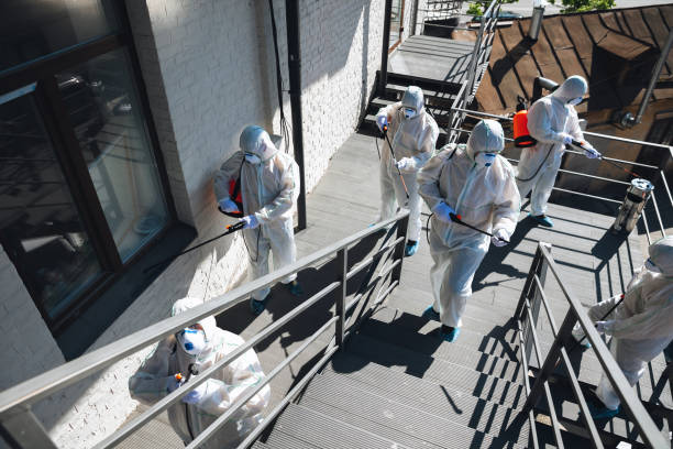 Best Indoor Air Quality Assessment  in Mountain City, GA