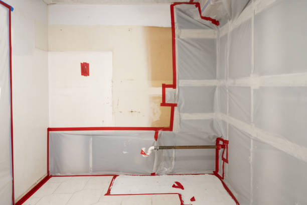Best Environmental Consulting for Mold Prevention  in Mountain City, GA