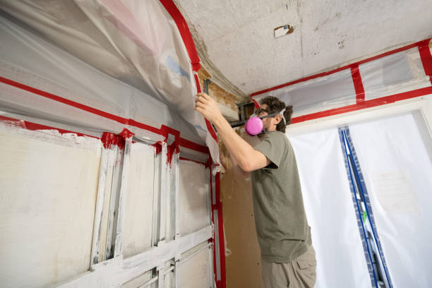 Best Mold Prevention Services  in Mountain City, GA