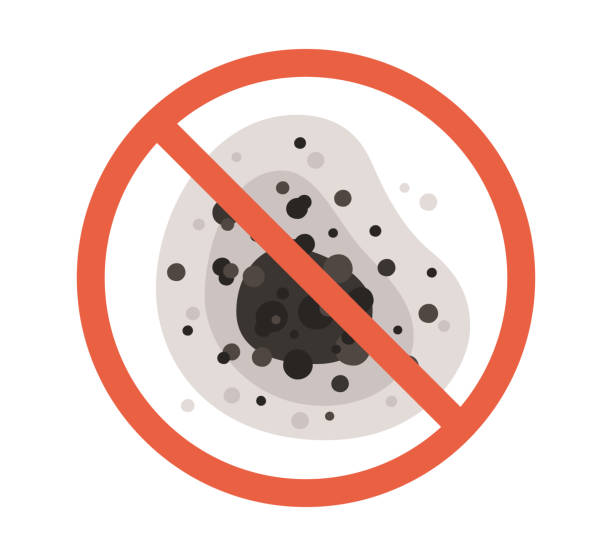 Environmental Consulting for Mold Prevention in Mountain City, GA