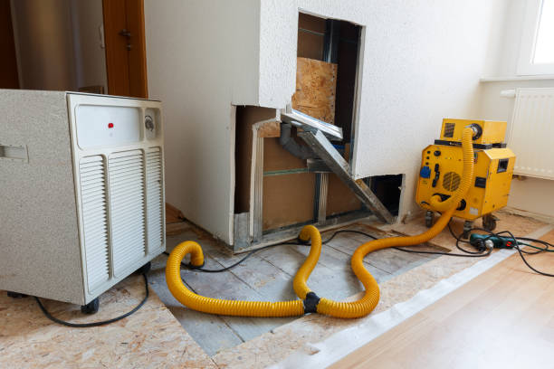 Best Environmental Consulting for Mold Prevention  in Mountain City, GA